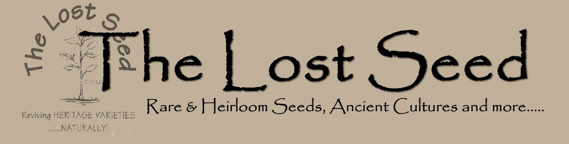  The Lost Seed promo code
