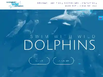  Dolphin promo code