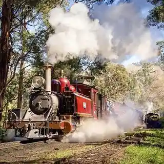  Puffing Billy promo code