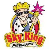 skykingfireworks.com